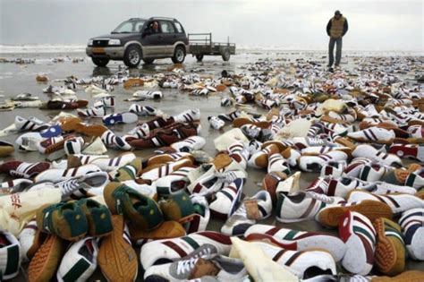 20 Terrifying Things Washed Up on Beaches