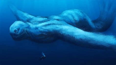 20 Most Mysterious Unidentified Sea Creatures Ever Found